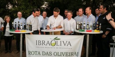 Eduardo Leite sanciona lei que institui Rota das Oliveiras no Estado