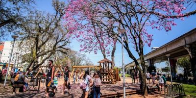 Segunda-feira começa fria, mas terá sol e tarde agradável no RS