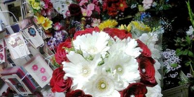 Floricultura Fiori Belli. Temos também serviço de tele-entrega. Ligue (51) 3671 1033