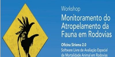 DNIT realiza workshop sobre o monitoramento do atropelamento da fauna em rodovias