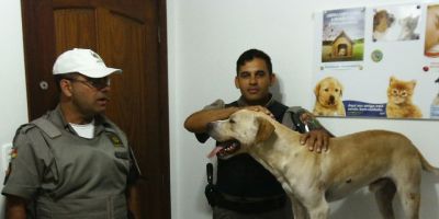 Ocorrência atendida e atividade do 6º BPM em Rio Grande (29 e 30.11 e 01.12.2014)