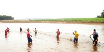 Piscicultura rende bons frutos a produtores rurais de Cristal
