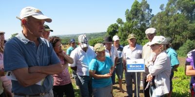 Dia de Campo sobre Agroecologia reúne mais de mil agricultores familiares em Pelotas