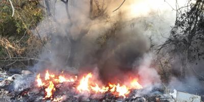 Incêndio atinge vegetação rasteira e algumas árvores em Camaquã