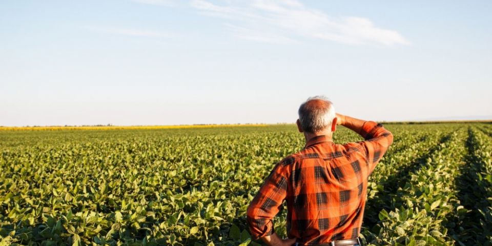 Produtores rurais poderão refinanciar dívidas com juros de 8% ao ano