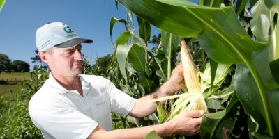 RS - Secretaria do Desenvolvimento Rural comemora R$ 60 milhões em investimentos nas cooperativas de assentamentos