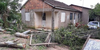 Árvore cai em residência no bairro Getúlio Vargas