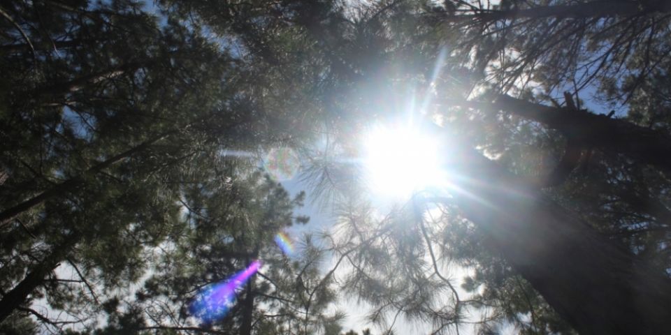 RS terá sol e calor nesta sexta-feira