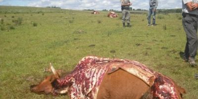 Ocorrências atendidas em São Lourenço do Sul (15 e 16.12.2014)