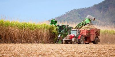 Governo quer mudar seguro agropecuário