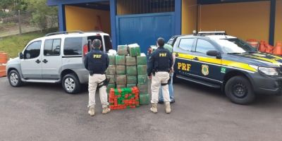 Cinco homens são presos com meia tonelada de maconha em Santo Antônio da Patrulha