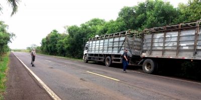 Secretaria da Agricultura mantém atendimento durante paralisação dos fiscais estaduais agropecuários