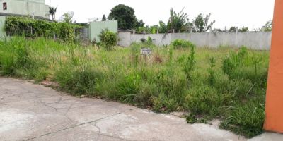 Terreno baldio no centro de Camaquã preocupa moradores 