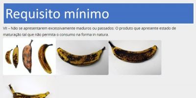 Ministério da Agricultura fixa padrões visuais de qualidade para frutas, legumes e verduras