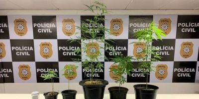 Polícia apreende pés de maconha na Casa do Estudante da UFRGS