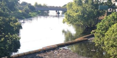 Fenômeno biológico e poluição causam mau cheiro no Arroio Dilúvio, em Porto Alegre