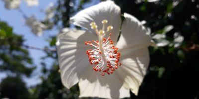 Segunda-feira será de sol e calor em todo o RS