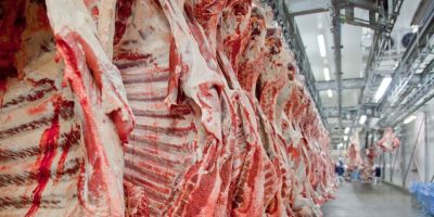 Exportações de carne podem fechar 2019 com resultado recorde