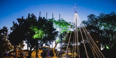 Árvore de Natal ilumina a Praça Os Pioneiros em Cristal