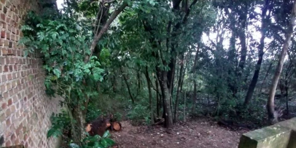 Trilha ecológica da Câmara de Vereadores de Camaquã será inaugurada