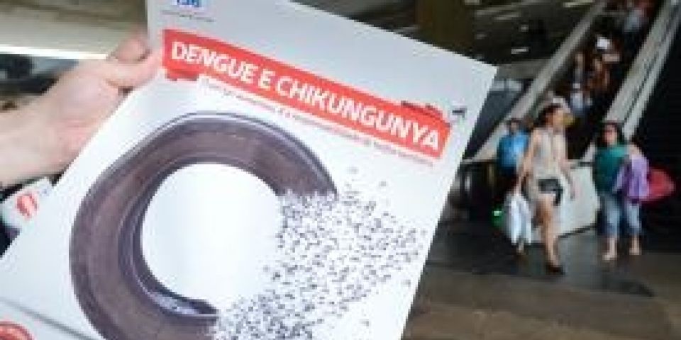 Transmitida pelo mesmo mosquito da dengue, Chikungunya assusta o país em 2014