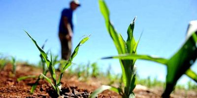 Produtores têm até segunda para aderir ao Refis Rural