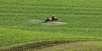 Agricultura libera o registro de mais 36 defensivos agrícolas genéricos