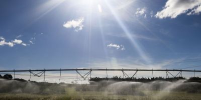 Termina hoje prazo para produtores aderirem ao Refis Rural