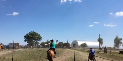 Gaúchos enfrentam calor de até 41º para laçar em rodeios