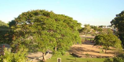 Camaquã terá 1º Simpósio Ambiental