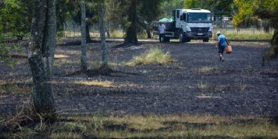 Seca ajuda a espalhar incêndio no Parque Marinha do Brasil, em Porto Alegre