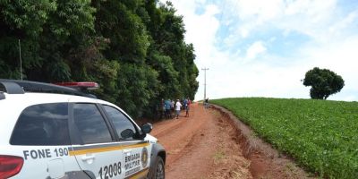 Agricultor é atacado por abelhas e morre no RS