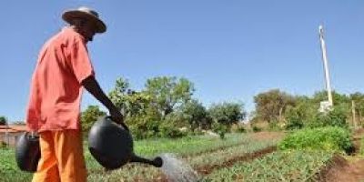 MDA divulga lista de produtos com direito a bônus na agricultura familiar