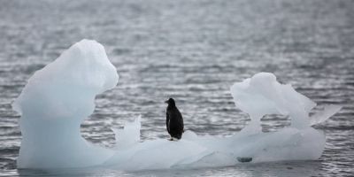 Península Antártica registra 18,3ºC, recorde de temperatura