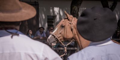 Ciclo de Morfologias Passaporte 2020 tem lista de jurados definida