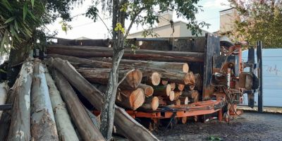 FOTOS: caminhão com carga de madeira tomba no centro de Camaquã