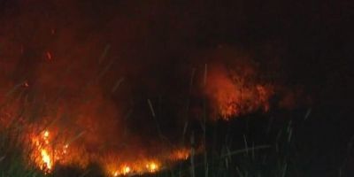 Incêndio atinge zoológico de Sapucaia do Sul