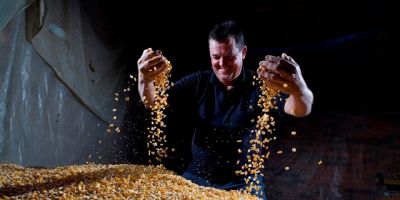 Após o tabaco, momento para diversificar