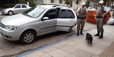 Cachorro preso dentro de carro é resgatado pela Brigada Militar em Camaquã