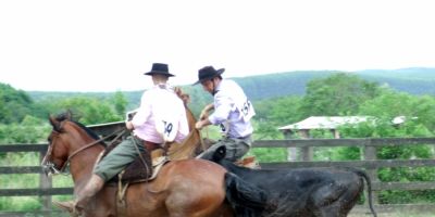 Credenciadora ao Freio de Ouro de Camaquã classifica oito e vende R$ 900 mil nos leilões