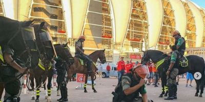 Égua da cavalaria da Brigada Militar morre em policiamento de jogo em Porto Alegre