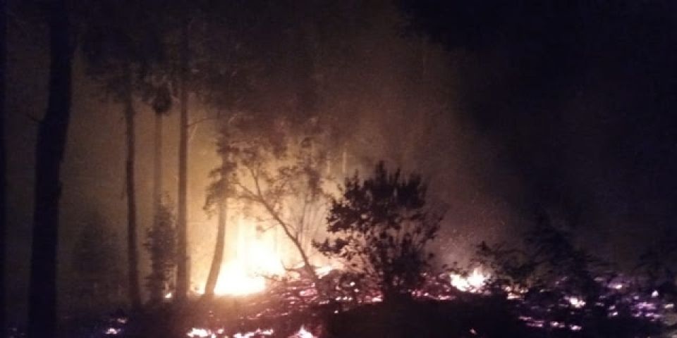 Incêndio de grande proporção destrói cerca de 20 hectares de uma propriedade rural em Canguçu