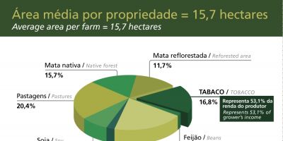 Brasil responde por mais de 10% das folhas de tabaco produzidas no mundo