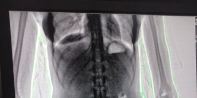 Primeira apreensão de drogas com scanner corporal no Presídio Central