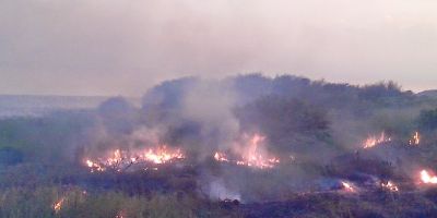 Incêndio criminoso consome cerca de 250m quadrados de área de preservação permanente em Arambaré