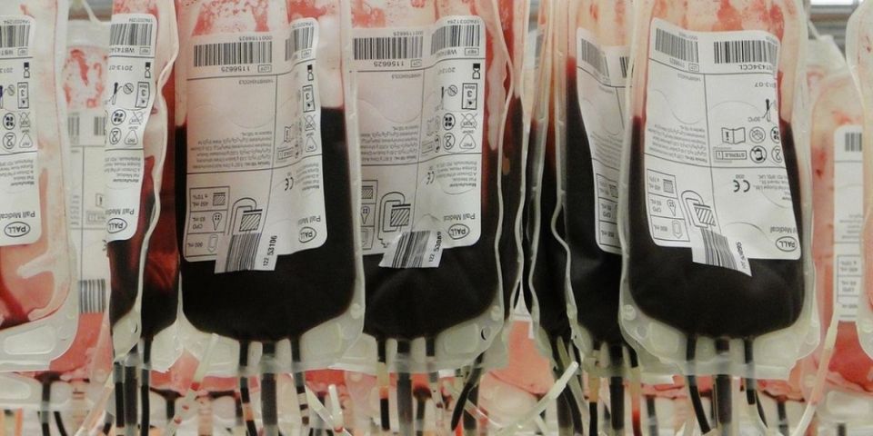 Para evitar aglomeração, doações de sangue devem ser agendadas