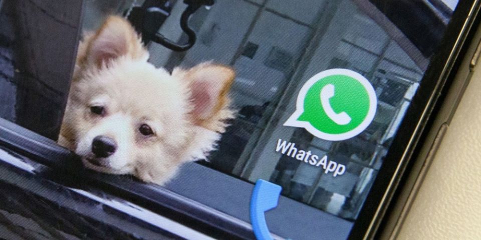 WhatsApp limita reenvio de mensagens a 1 destinatário por vez em meio à crise do novo coronavírus