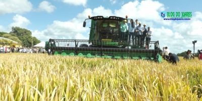 Está aberta oficialmente a colheita do arroz no Rio Grande do Sul