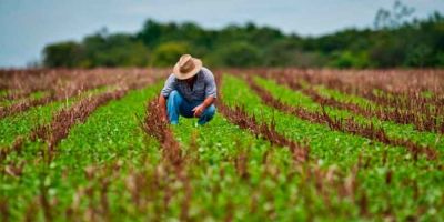 Anunciada medidas de socorro aos agricultores gaúchos que tiveram perdas com a estiagem e com o Covid-19