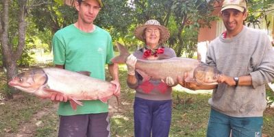 Comércio de peixes se manteve dentro do esperado para a Semana Santa em Sertão Santana